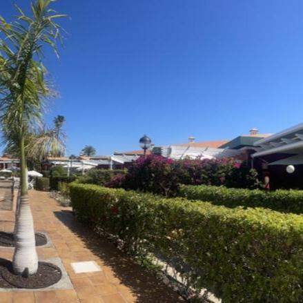 Bungalow Verdemar Maspalomas Maspalomas  Luaran gambar